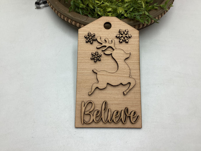Believe Tag # 557